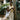 Person leaning against a tree holding a coffee cup, wearing a cream canvas tote bag with “AFRICAN” print in a leafy street scene