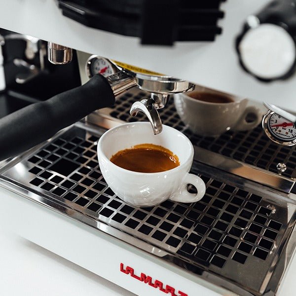 Eureka Mignon Libra 55 Espresso Grinder | Bean There Coffee – Bean