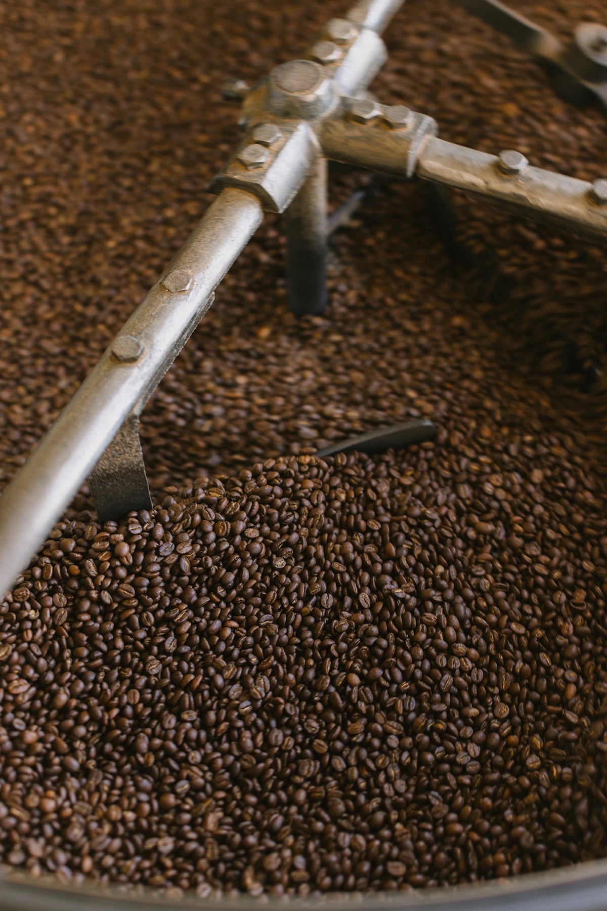 Bean There, photo 3